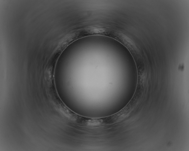 X0000091660373200708231311