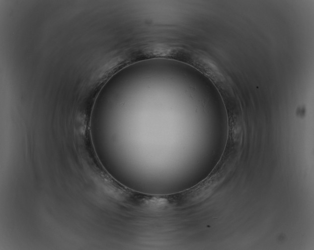 X0000091660374200708231311