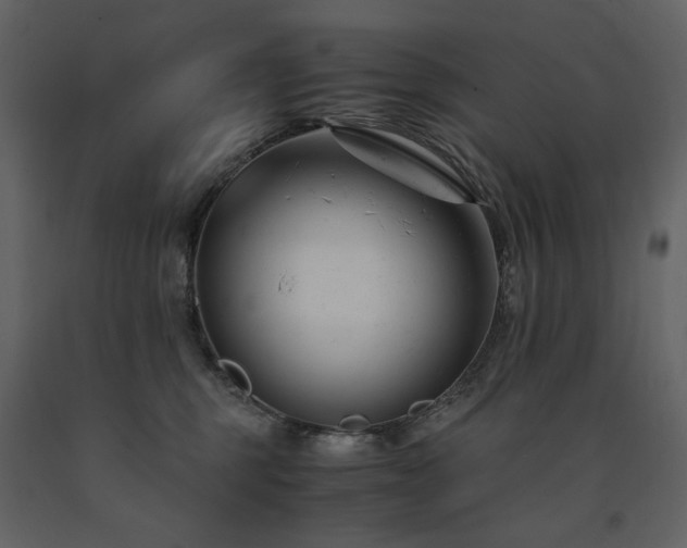 X0000091660375200708231311