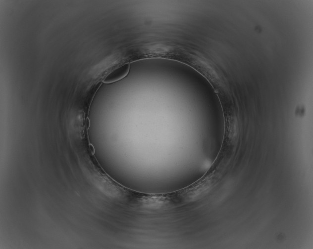 X0000091660378200708231312