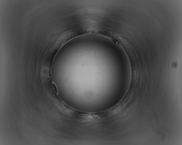 X0000091660379200708231312