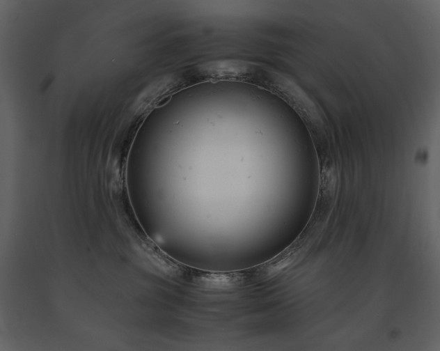 X0000091660381200708231312