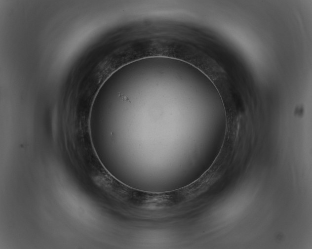 X0000091660382200708231312