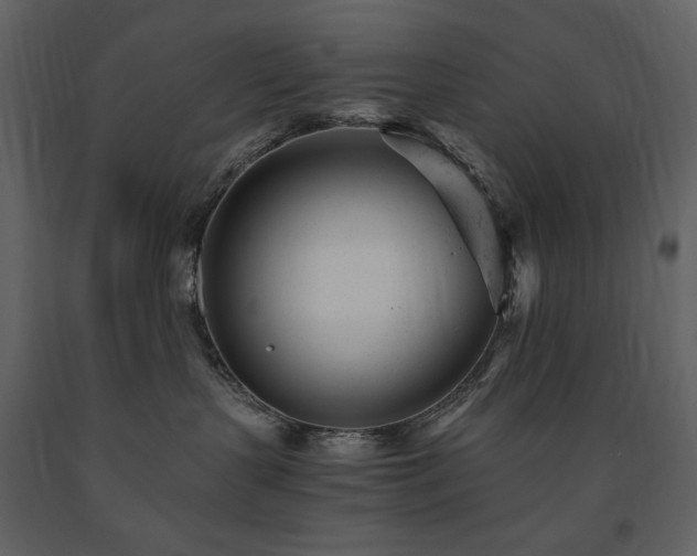 X0000091660383200708231312