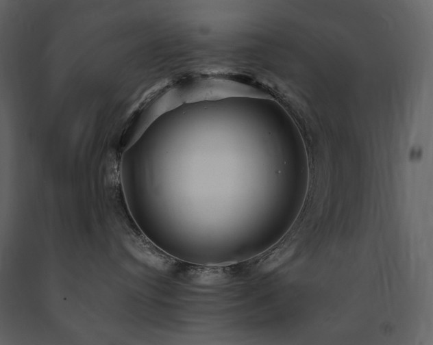 X0000091660384200708231312