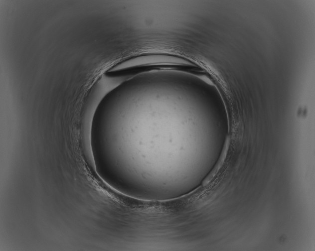 X0000091660385200708231311