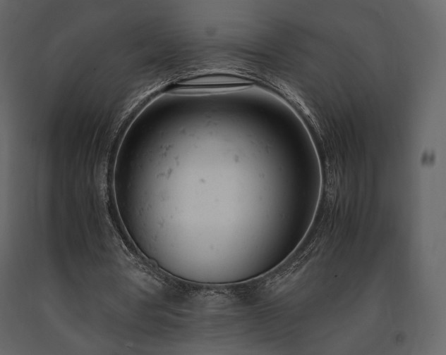 X0000091660386200708231311