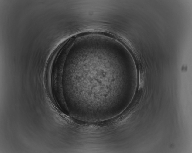 X0000091660387200708231311