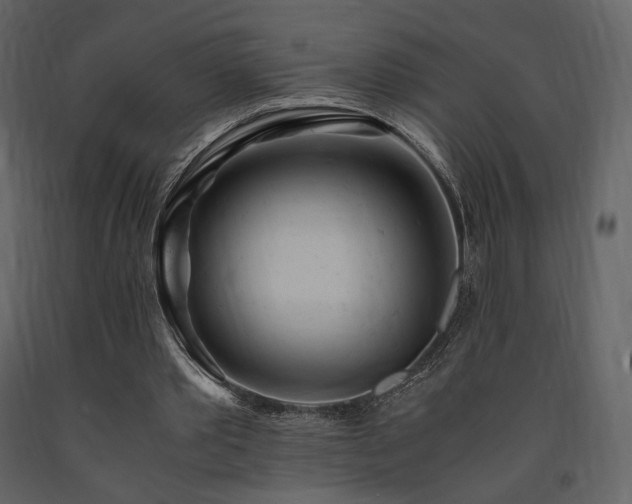 X0000091660389200708231311