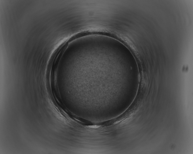 X0000091660391200708231311