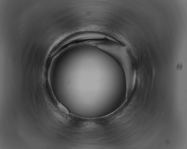 X0000091660392200708231311