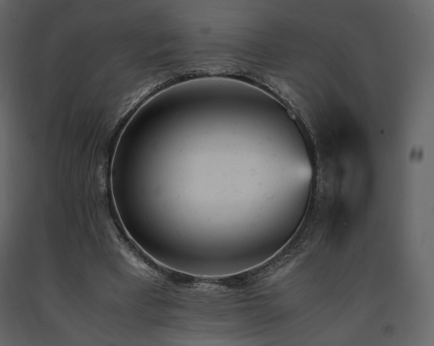 X0000091660393200708231311