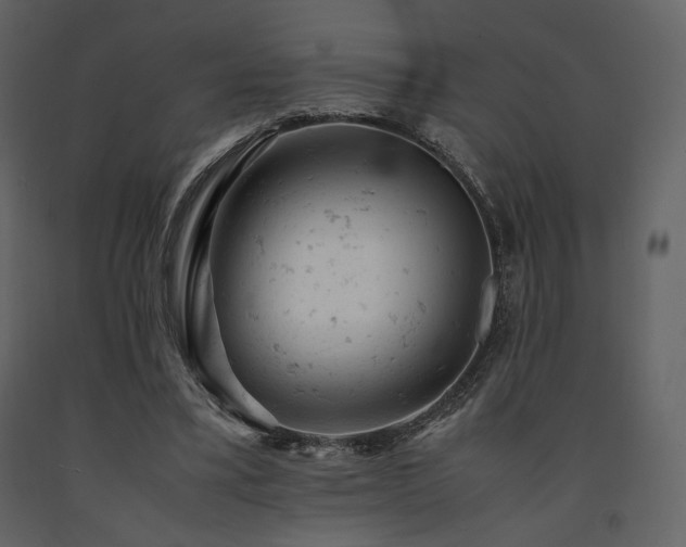 X0000091660395200708231311