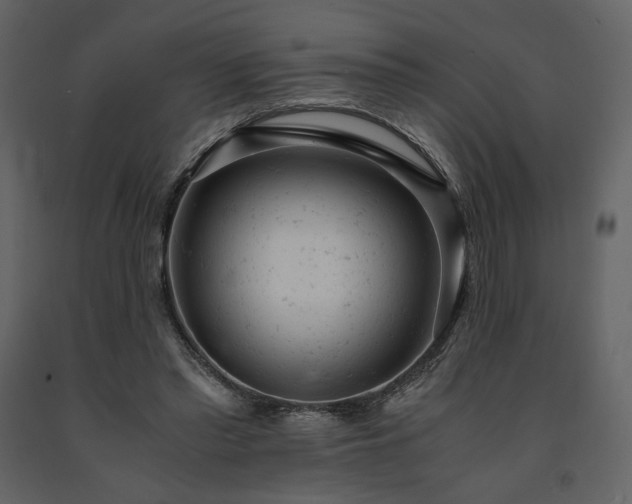 X0000091660397200708231311
