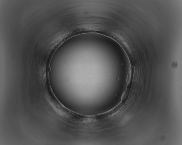 X0000091660398200708231311