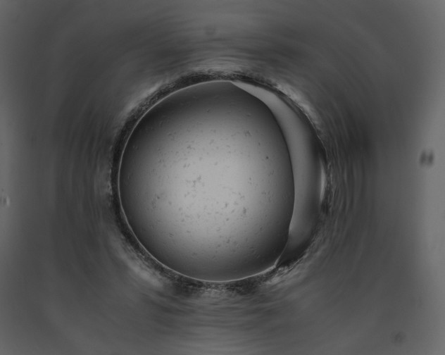 X0000091660399200708231311