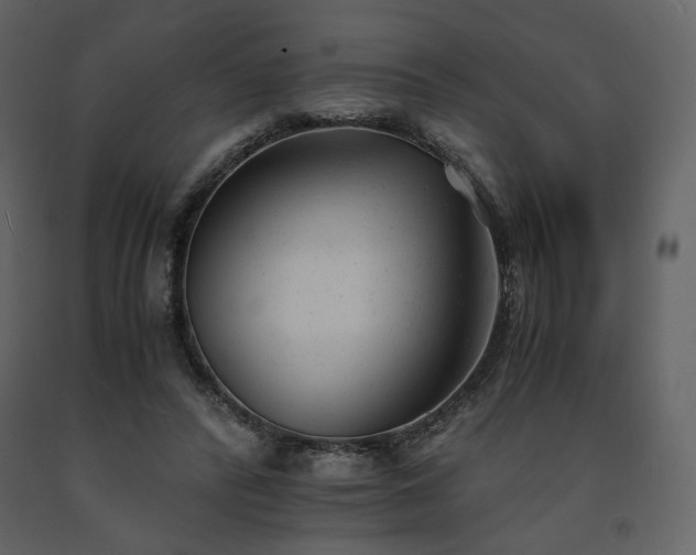 X0000091660400200708231311