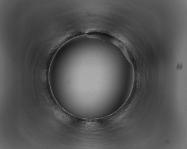 X0000091660401200708231311