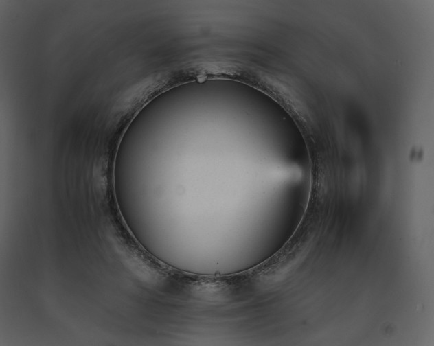 X0000091660402200708231311