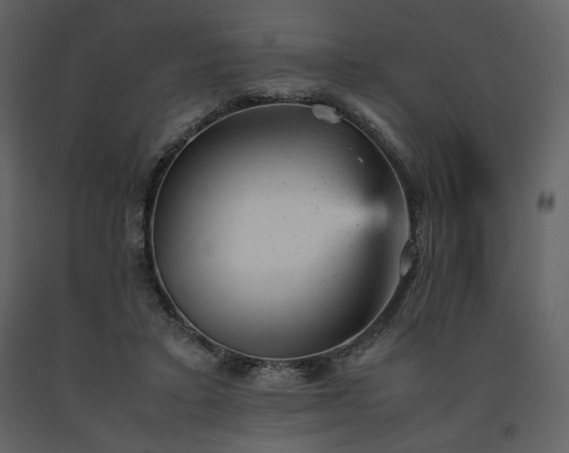 X0000091660403200708231310