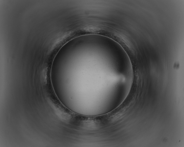 X0000091660404200708231310