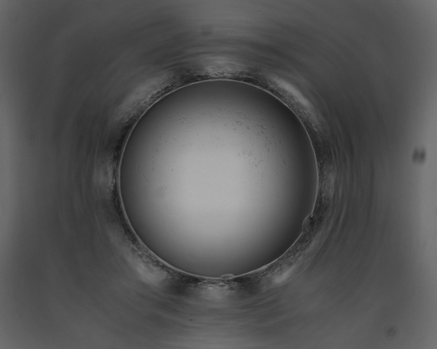 X0000091660405200708231310