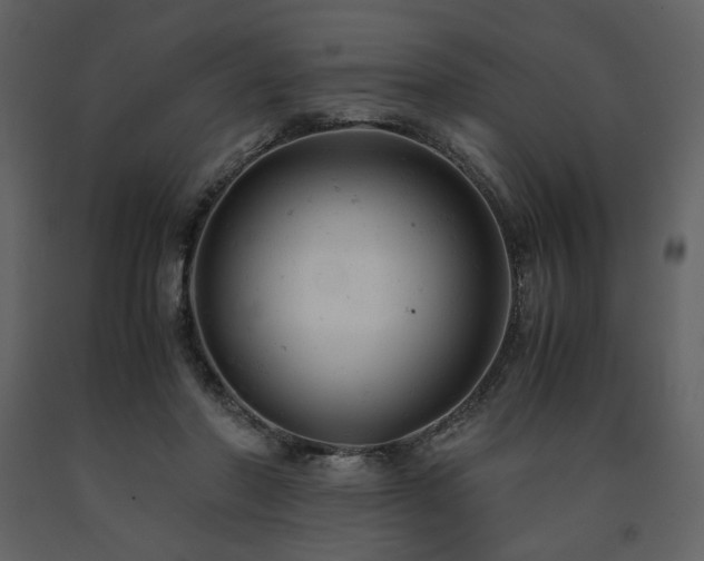 X0000091660406200708231310