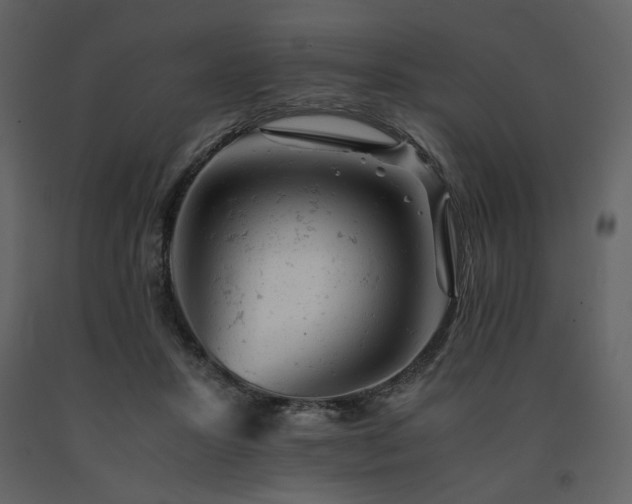 X0000091660407200708231310