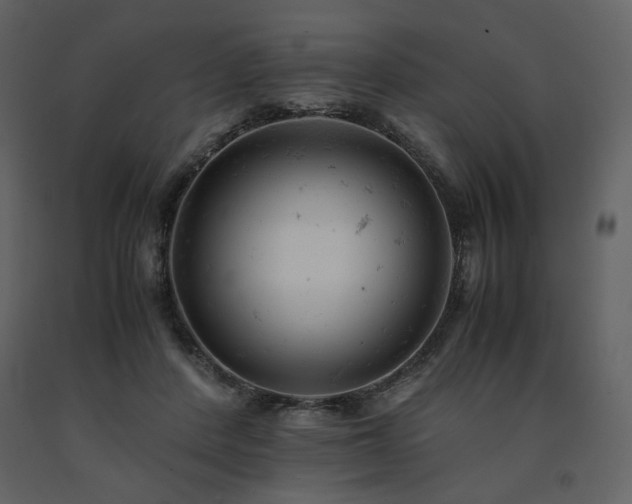 X0000091660408200708231310