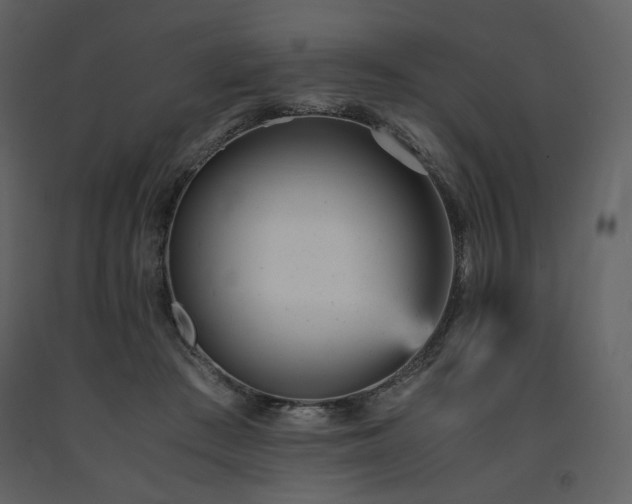 X0000091660409200708231310