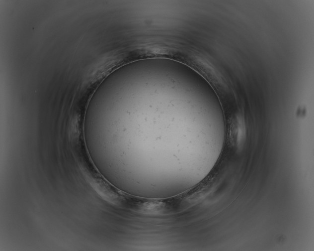 X0000091660410200708231310