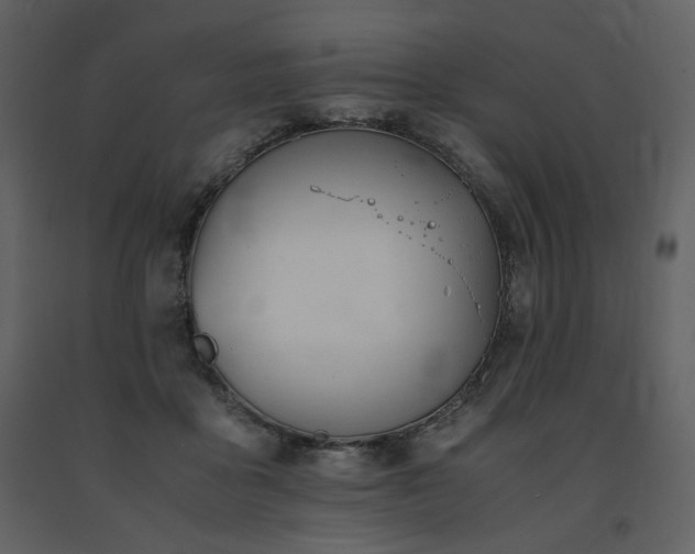 X0000091660411200708231310