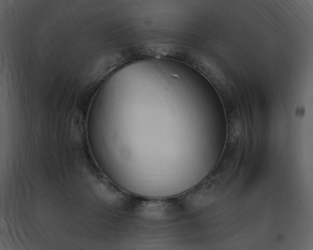 X0000091660414200708231310