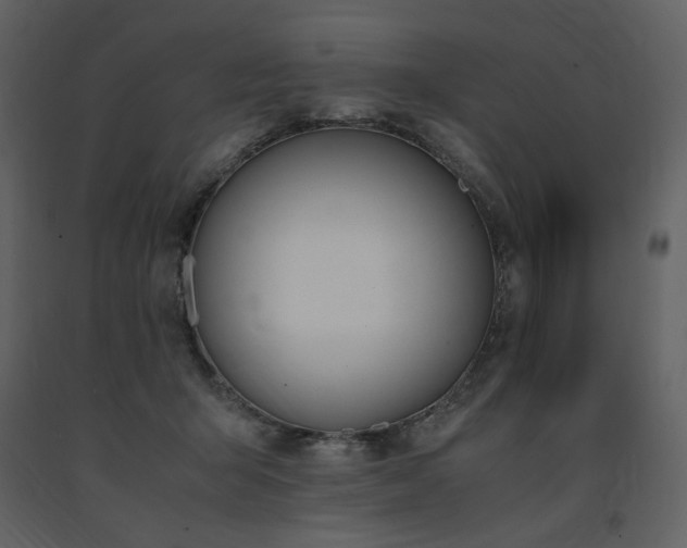 X0000091660415200708231310