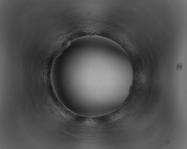 X0000091660416200708231310