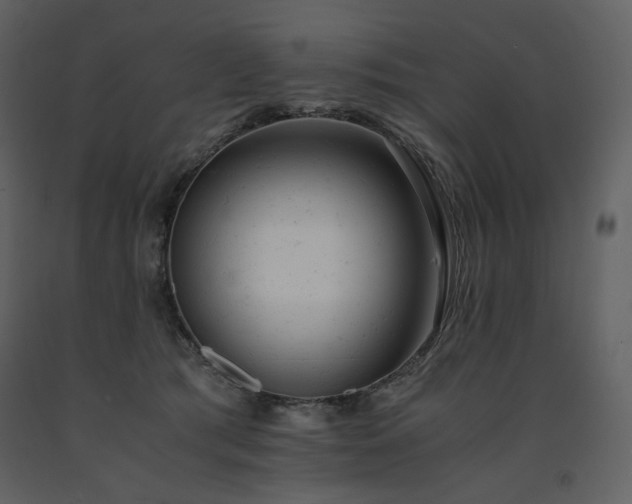 X0000091660417200708231310