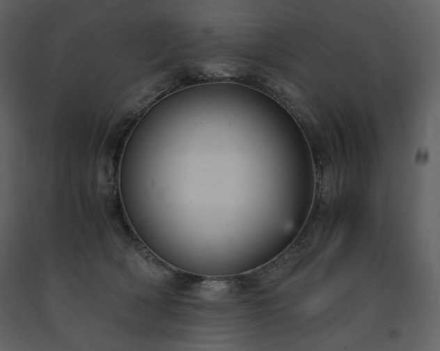 X0000091660418200708231310