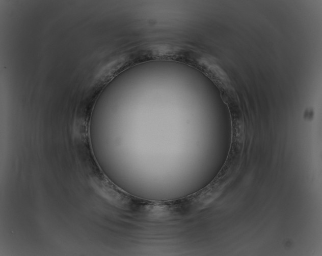 X0000091660419200708231310