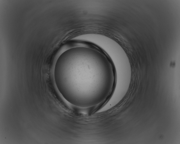 X0000091660421200708231310
