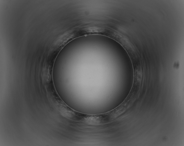 X0000091660422200708231310