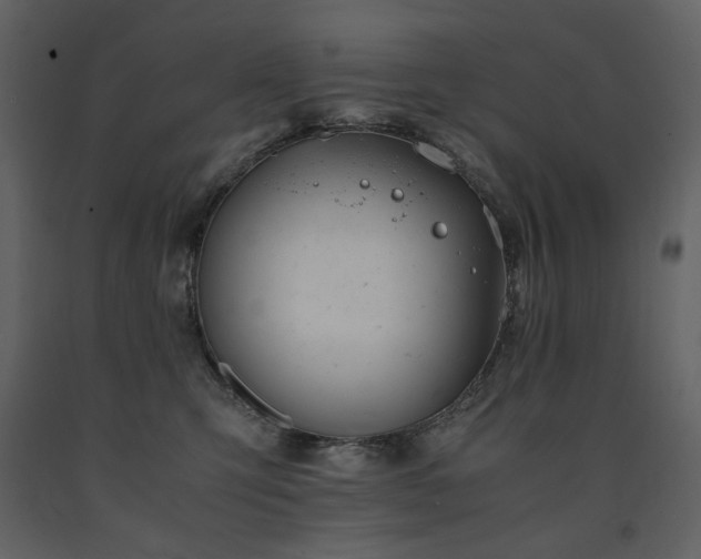 X0000091660423200708231310