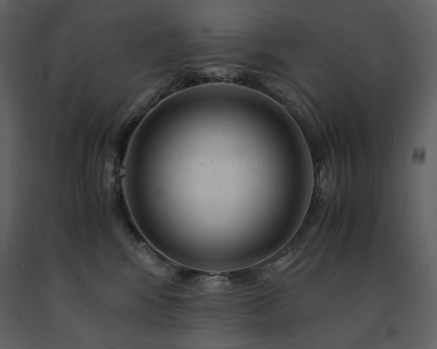 X0000091660424200708231310