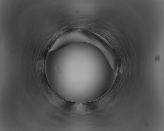 X0000091660425200708231310