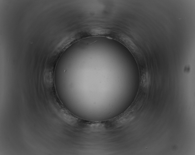 X0000091660426200708231310