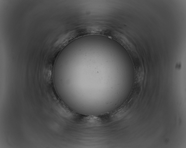 X0000091660427200708231310