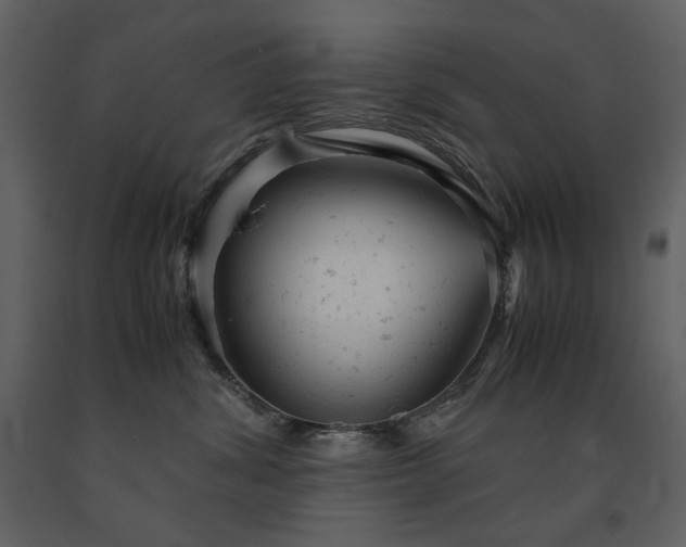 X0000091660428200708231310