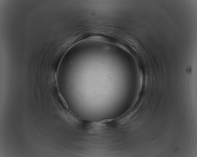 X0000091660429200708231310