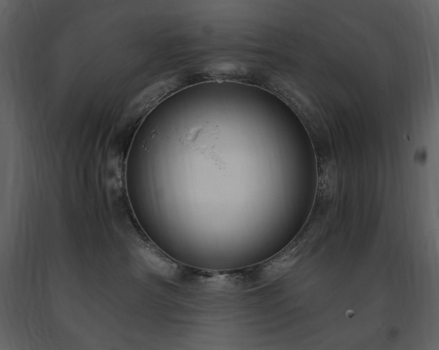 X0000091660430200708231310