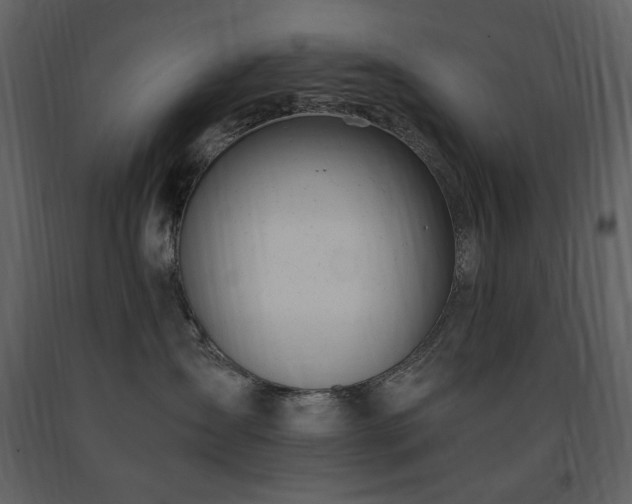 X0000091660431200708231310