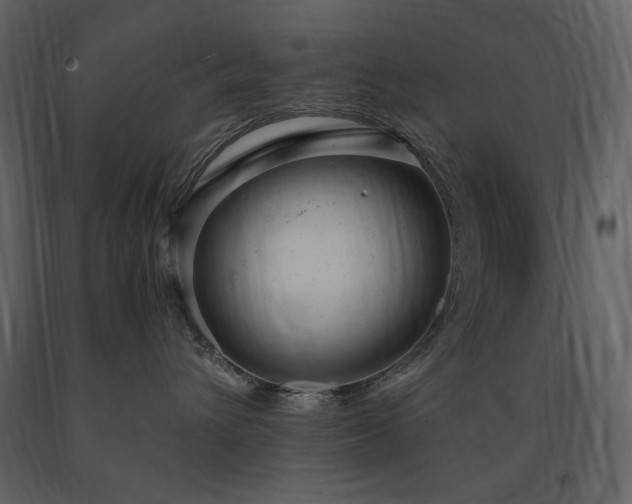X0000091660432200708231310
